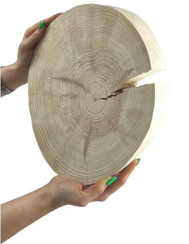 Plaster drewna - fi 20-25 cm - Sosna II, gr 3,0 cm