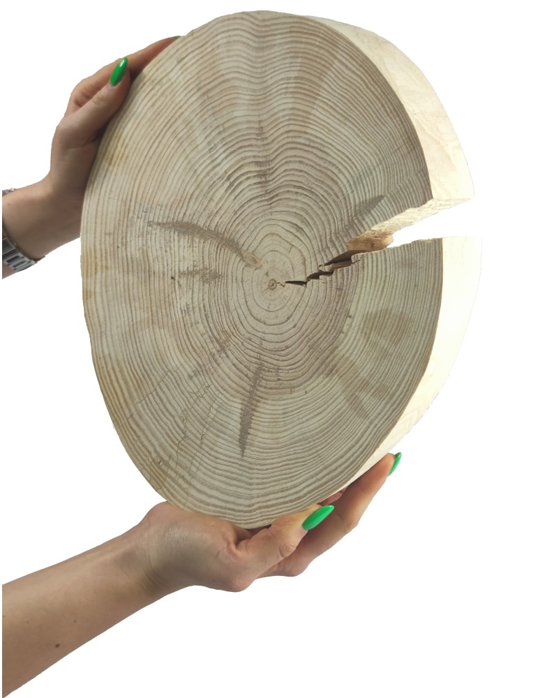 Plastry Okrągłe - Plaster drewna - fi 20-25 cm - Sosna II, gr 3,0 cm - produkt MODO24.PL 1