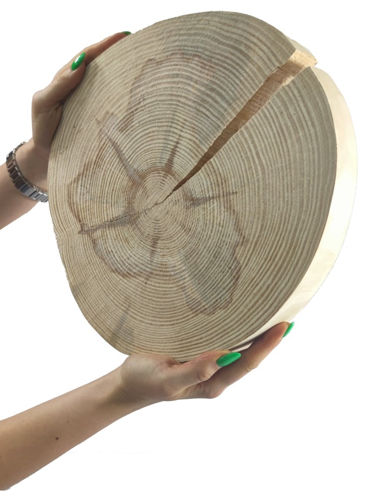 Plastry Okrągłe - Plaster drewna - fi 25-30 cm - Sosna, gr 3,5 cm - produkt MODO24.PL 1