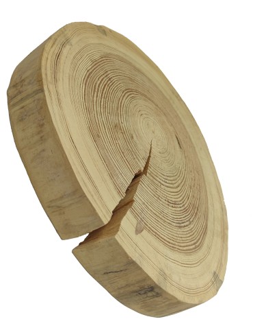 Plastry Okrągłe - Plaster Drewna Sosnowego ⚪ Grubość 5 cm ⚪ Średnica 30-35 cm ⚪ Oszlifowany i Okorowany - product 3