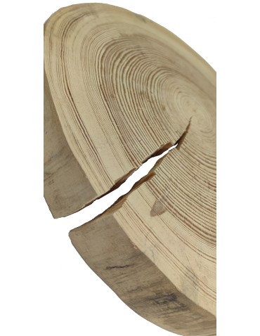 Plaster Drewna Sosnowego ⚪ Grubość 5 cm ⚪ Średnica 30-35 cm ⚪ Oszlifowany i Okorowany - product 2