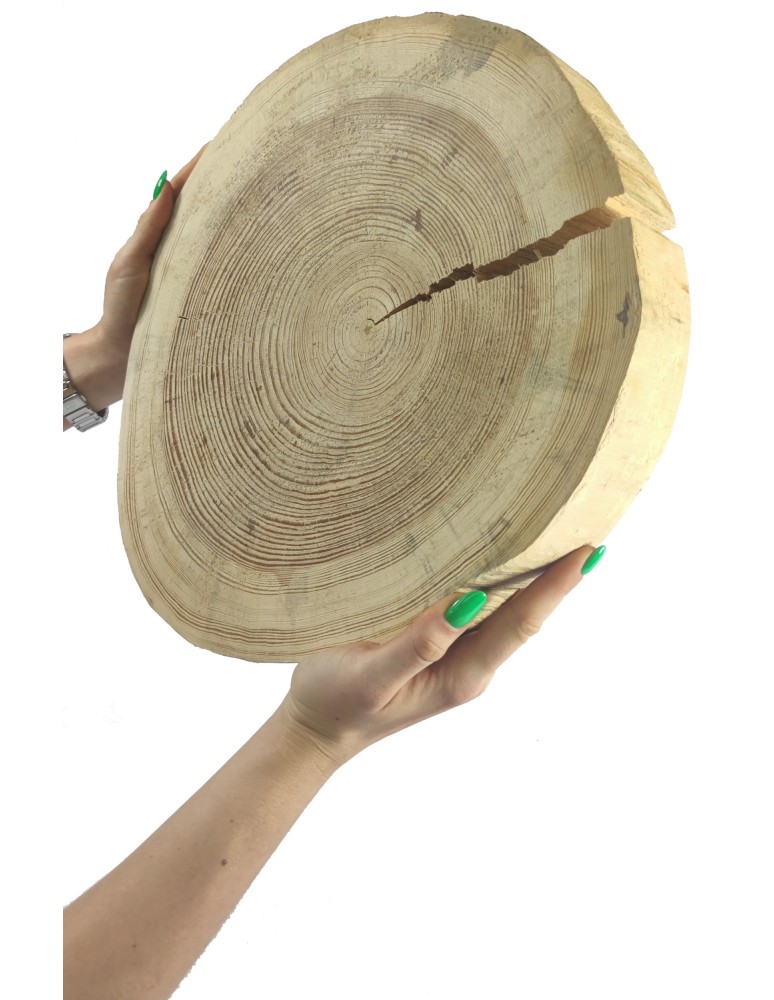 Plastry Okrągłe - Plaster Drewna Sosnowego ⚪ Grubość 5 cm ⚪ Średnica 30-35 cm ⚪ Oszlifowany i Okorowany - product MODO24.PL 1