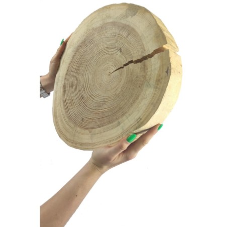 Plaster Drewna Sosnowego ⚪ Grubość 5 cm ⚪ Średnica 30-35 cm ⚪ Oszlifowany i Okorowany
