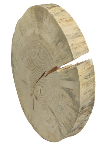 Blaty - Plaster Drewna Sosnowego ⚪ Grubość 6 cm ⚪ Średnica 50-55 cm ⚪ Oszlifowany i Okorowany - product 3