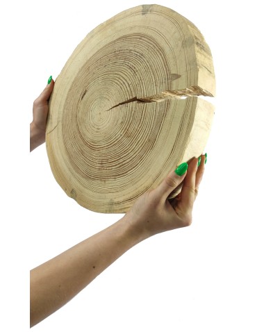 Plaster Drewna Sosnowego ⚪ Grubość 6 cm ⚪ Średnica 35-40 cm ⚪ Oszlifowany i Okorowany