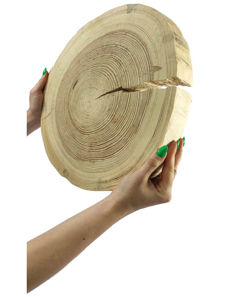 Plastry Okrągłe - Plaster Drewna Sosnowego ⚪ Grubość 6 cm ⚪ Średnica 35-40 cm ⚪ Oszlifowany i Okorowany - produkt MODO24.PL 1