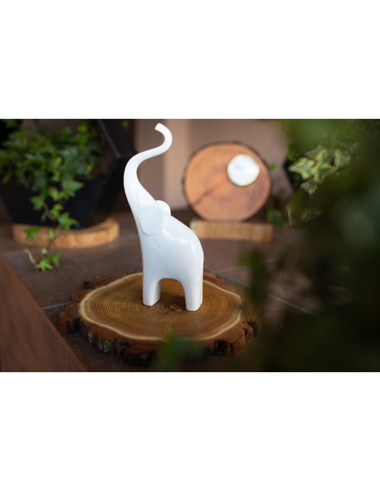 Plastry Okrągłe - Plaster drewna z korą - fi 25-30 cm - Topola, gr 5,0 - product MODO24.PL 6