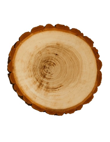 Plastry Okrągłe - Plaster drewna z korą - fi 25-30 cm - Topola, gr 5,0 - product 3