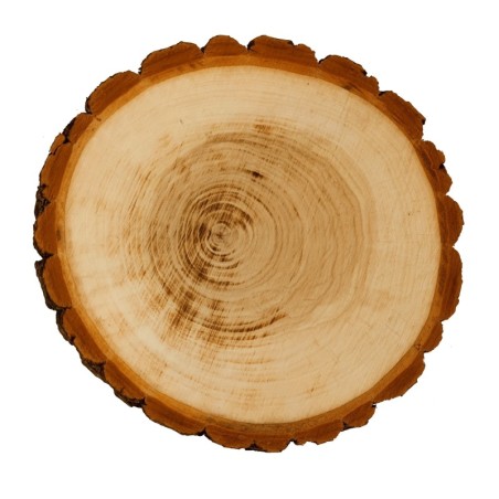 Plaster drewna z korą - fi 25-30 cm - Topola, gr 5,0