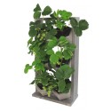 Ogród Wertykalny RD-8 2x3 12cm szary