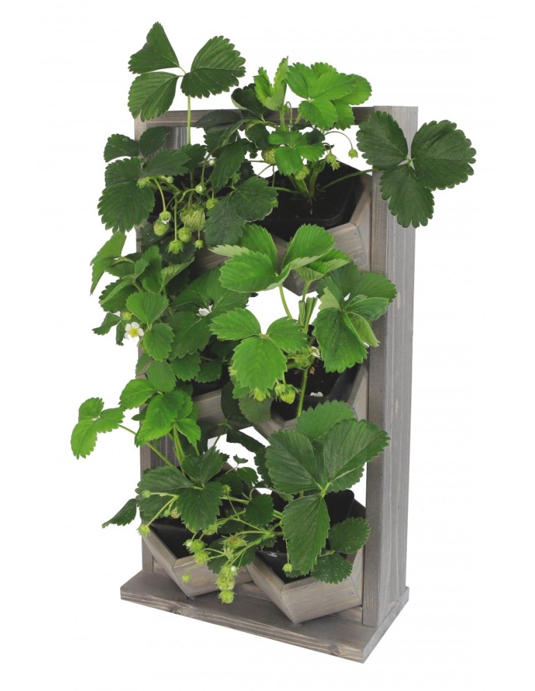 Kwietniki i donice - Ogród Wertykalny RD-8 2x3 12cm szary - product MODO24.PL 6