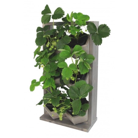 Ogród Wertykalny RD-8 2x3 12cm szary