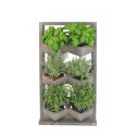 Ogród Wertykalny RD-8 2x3 12cm szary