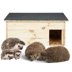 Domek dla Jeża ▪ Ganek i Izba z Daszkiem ▪ 22x39x49 cm