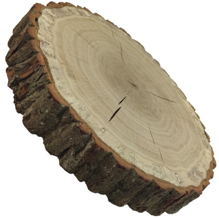 Plaster drewna  - fi 35-40 cm - Dąb, gr 6,0 cm