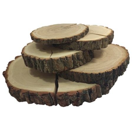 Plaster drewna  - fi 35-40 cm - Dąb, gr 6,0 cm