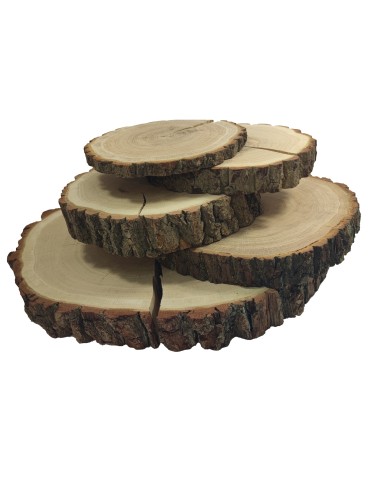 Plastry Okrągłe - Plaster drewna - fi 30-35 cm - Dąb, gr 6,0 cm - product 9