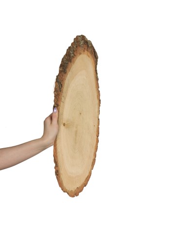 taca dębowa z korą 40-45 cm