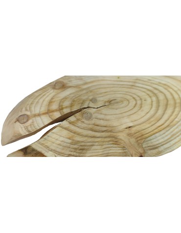 Plaster elipsa Modrzew długość 30-35cm Plaster elipsa Modrzew długość 30-35cm