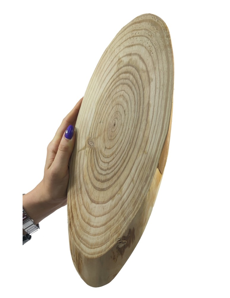 Plaster Modrzew długość 30-35 cm