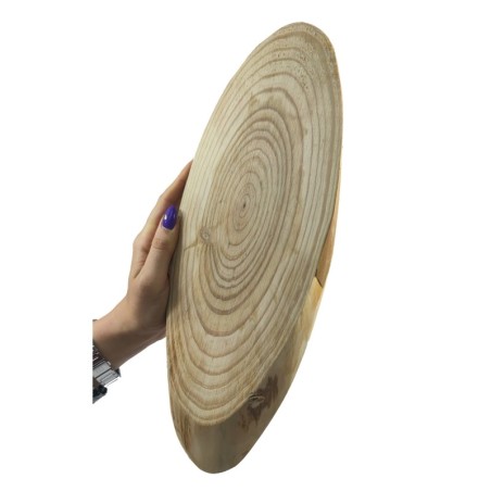 Plaster Modrzew długość 30-35 cm