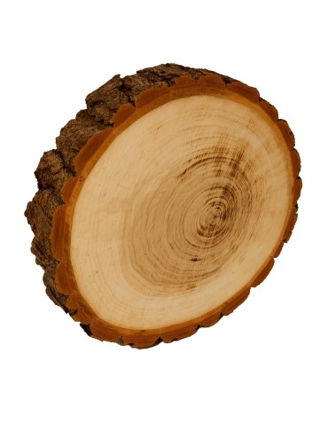 Plaster drewna z korą - fi 20-25 cm - Topola, gr 5,0 - product 2