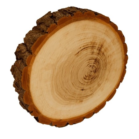 Plaster drewna z korą - fi 20-25 cm - Topola, gr 5,0