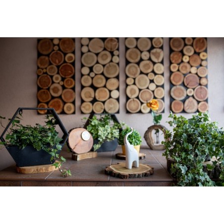 Plaster Czeremchy z Korą - Drewno DiY - Unikat nr 112648