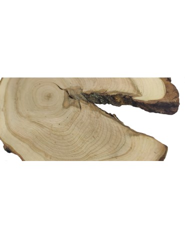 Stoły i Stoliki - Plaster Czeremchy z Korą - Drewno DiY - Unikat nr 112648 - product 3