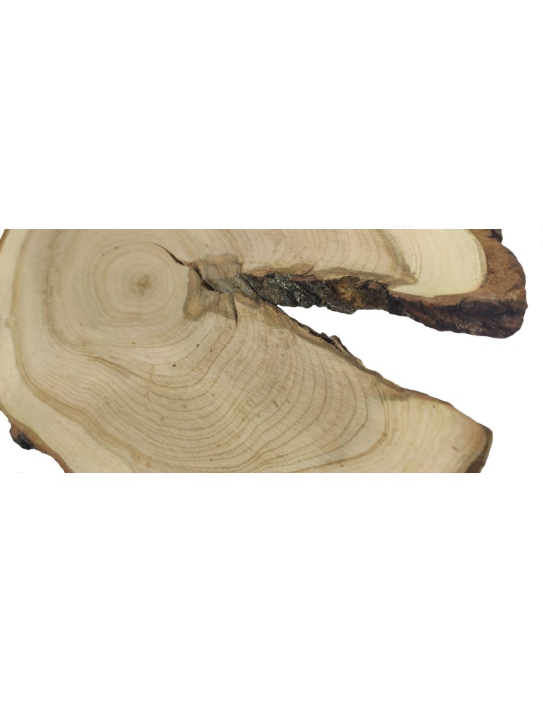 Stoły i Stoliki - Plaster Czeremchy z Korą - Drewno DiY - Unikat nr 112648 - product MODO24.PL 3