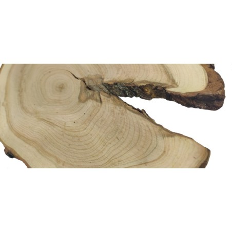 Plaster Czeremchy z Korą - Drewno DiY - Unikat nr 112648