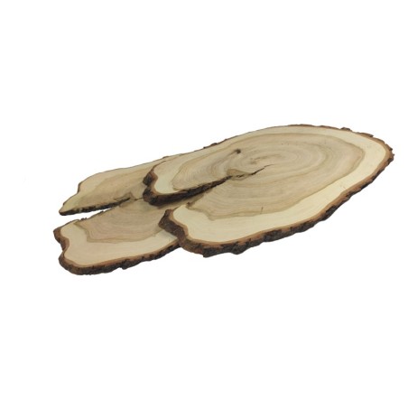 Plaster Czeremchy z Korą - Drewno DiY - Unikat nr 112648