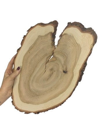 Plaster Czeremchy z Korą - Drewno DiY - Unikat nr 112648