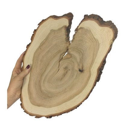 Plaster Czeremchy z Korą - Drewno DiY - Unikat nr 112648