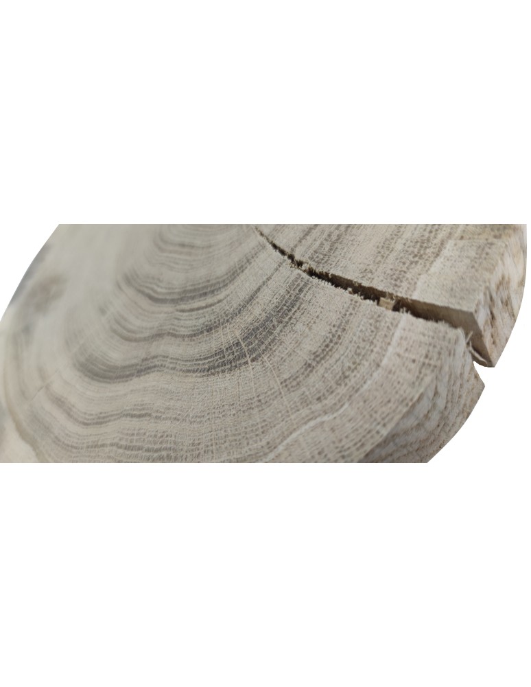 Plastry Okrągłe - Plaster drewna - fi 15-20 cm - Dąb, gr 3,0 cm - product MODO24.PL 2