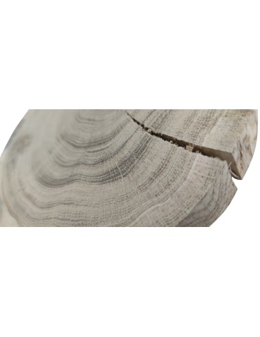 Plastry Okrągłe - Plaster drewna - fi 15-20 cm - Dąb, gr 3,0 cm - product 5