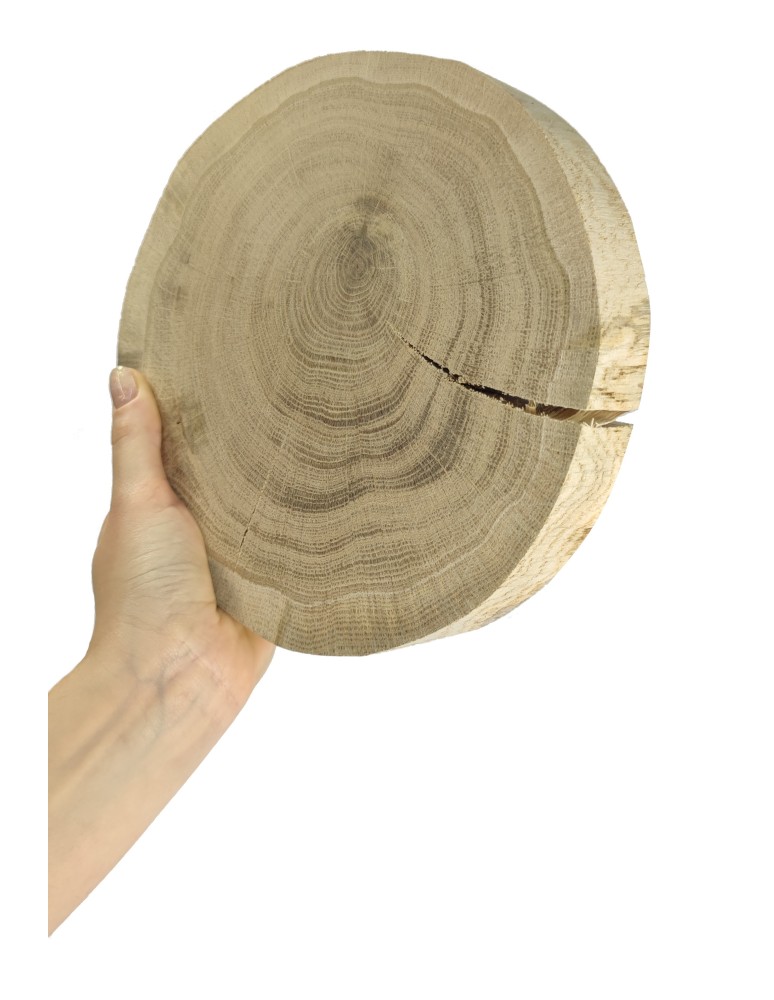 Plastry Okrągłe - Plaster drewna - fi 15-20 cm - Dąb, gr 3,0 cm - produkt MODO24.PL 1