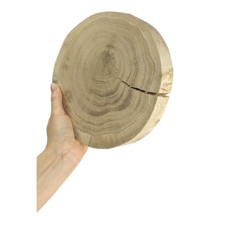 Plaster drewna - fi 15-20 cm - Dąb, gr 3,0 cm