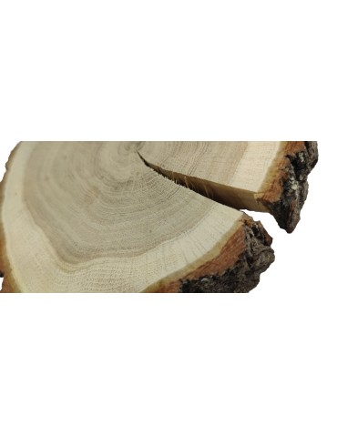 Plastry Okrągłe - Plaster drewna z korą - fi 15-20 cm - Dąb z korą gr 3,0 cm - product 3