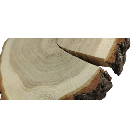 Plaster drewna z korą - fi 15-20 cm - Dąb z korą gr 3,0 cm