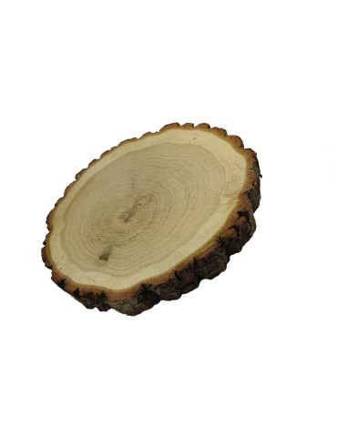 Plastry Okrągłe - Plaster drewna z korą - fi 15-20 cm - Dąb z korą gr 3,0 cm - product 4