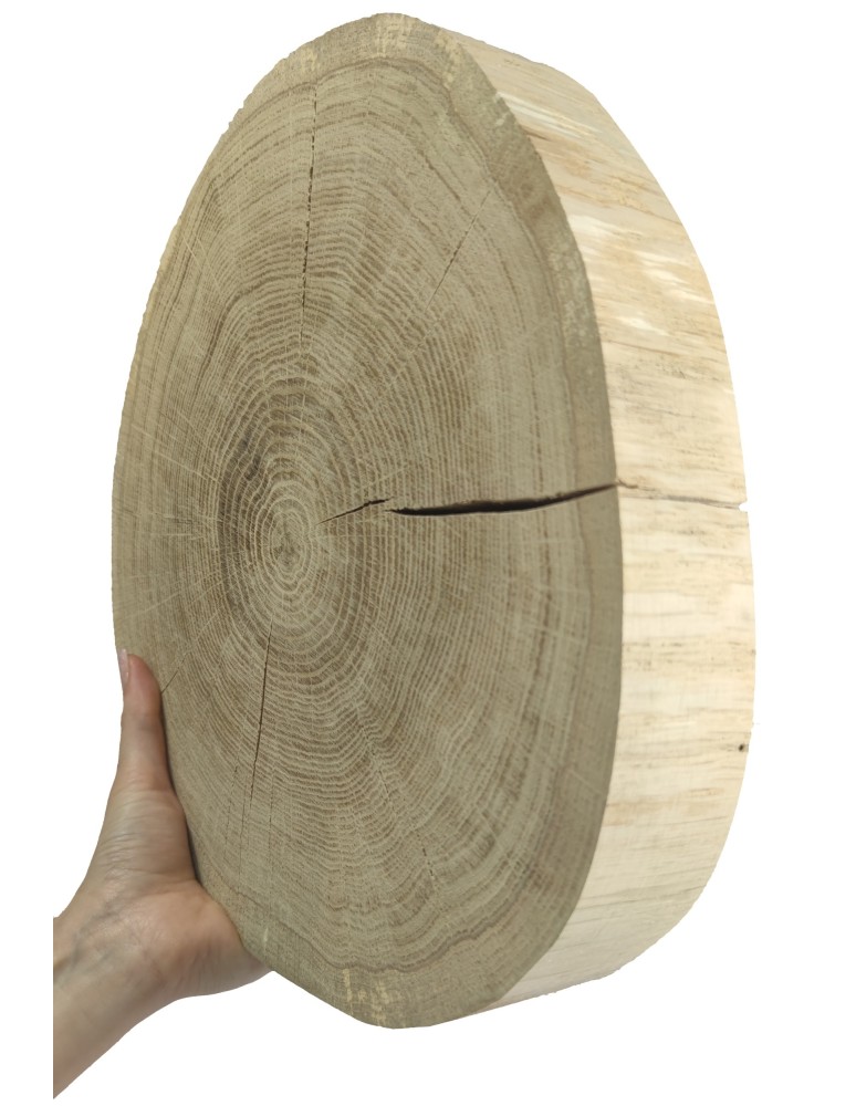 Plastry Okrągłe - Plaster drewna - fi 25-30 cm - Dąb, gr 6,0 cm - product MODO24.PL 1