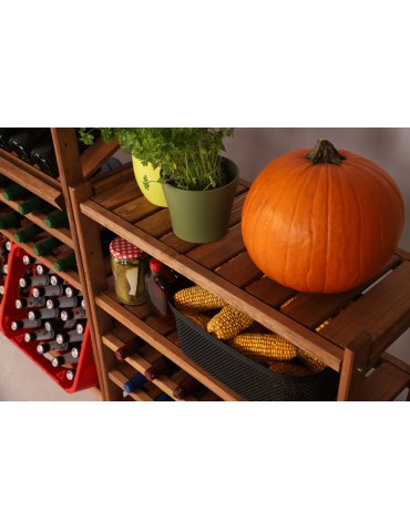 Regały/meble wielofunkcyjne - Regał Drewniany LSR – 10 półek na wino – brązowy - product 14