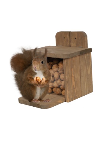 Domek dla Wiewiórki(Karmnik)