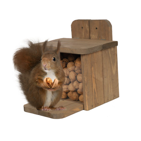 Domek dla Wiewiórki(Karmnik)