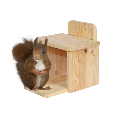 Karmnik dla Wiewiórki