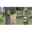 Drewniany Karmnik dla Wiewiórki - Nieimpregnowany
