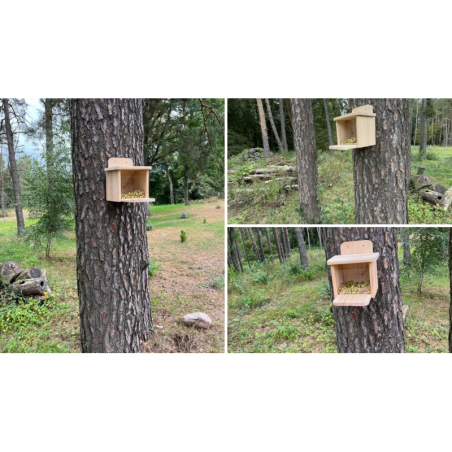 Drewniany Karmnik dla Wiewiórki - Nieimpregnowany