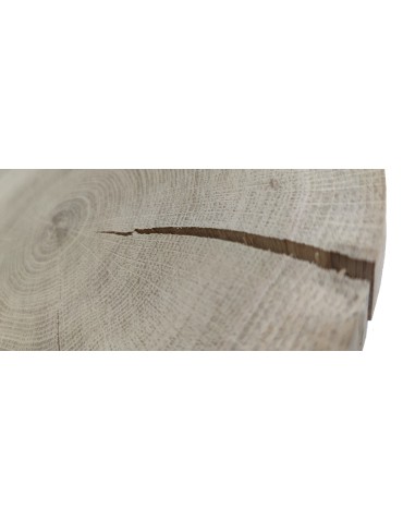 Plastry Okrągłe - Plaster drewna - fi 20-25 cm - Dąb, gr 3,0 cm - product 3