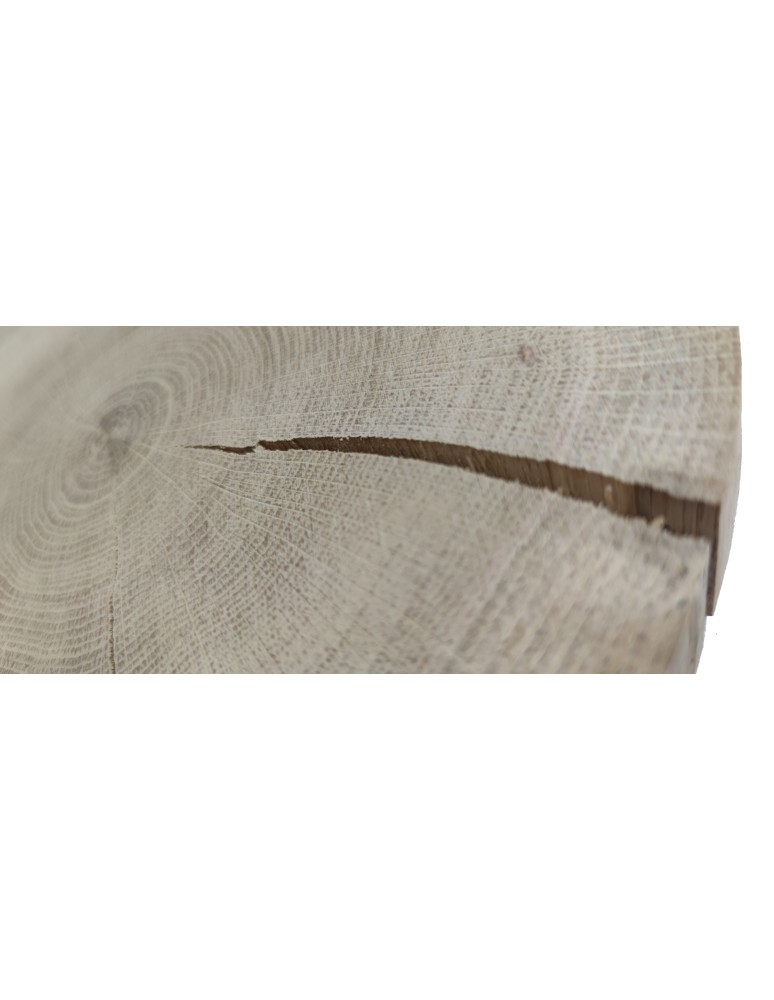 Plastry Okrągłe - Plaster drewna - fi 20-25 cm - Dąb, gr 3,0 cm - product MODO24.PL 3